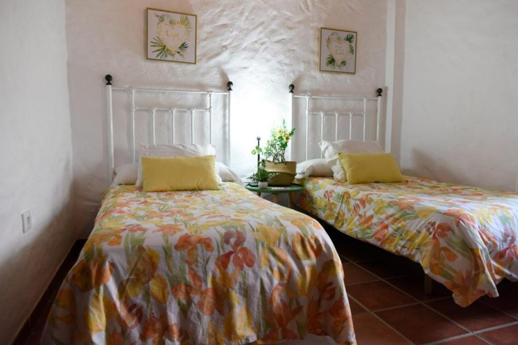 Hacienda San Francisco Villa Prado Del Rey Luaran gambar